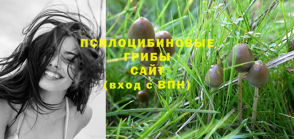 ГАЛЛЮЦИНОГЕННЫЕ ГРИБЫ Баксан