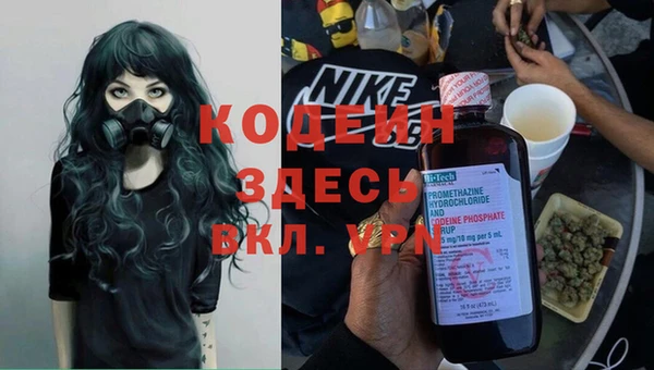 ГАЛЛЮЦИНОГЕННЫЕ ГРИБЫ Баксан
