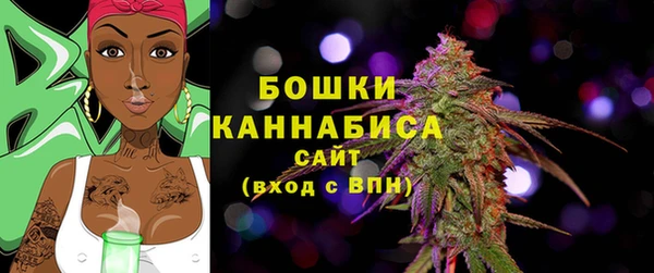 ГАЛЛЮЦИНОГЕННЫЕ ГРИБЫ Баксан