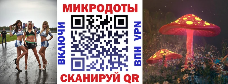 Псилоцибиновые грибы Psilocybe  где можно купить   Белёв 